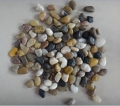 Смешанные цвета полированные/природных галечных камень